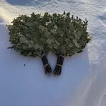Веники для бани березовые дубовые