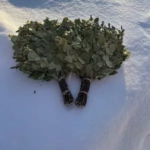 Веники для бани березовые дубовые