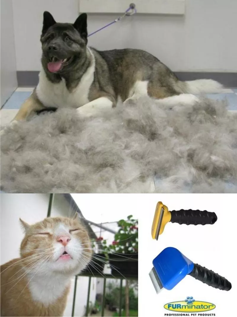 Фурминатор для кошек и собак