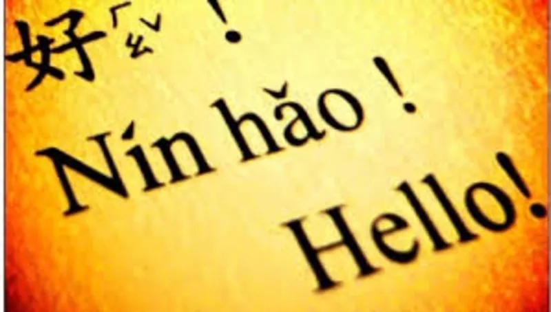 Обучение китайскому языку и выполнение переводов